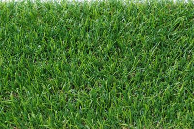 DEQZT3512DF2 CARPET GRASS 1M X 2M