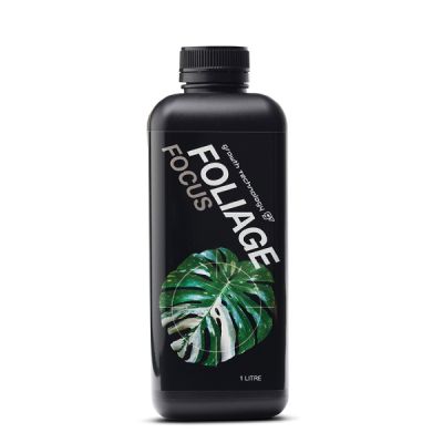 GT FOLIAGE FOCUS 1L