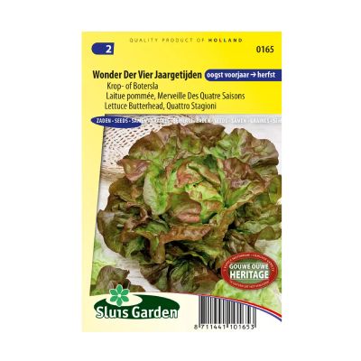 SL0165 Lettuce Butterhead Quattro Stagioni