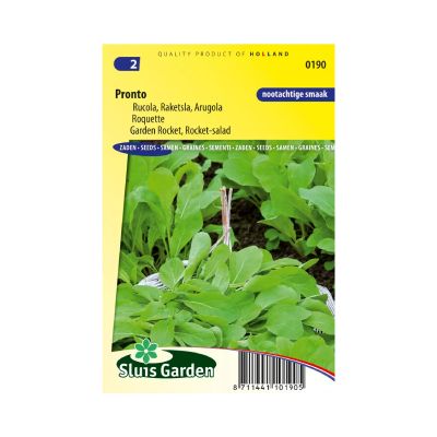 SL0190 Rocket-salad Pronto