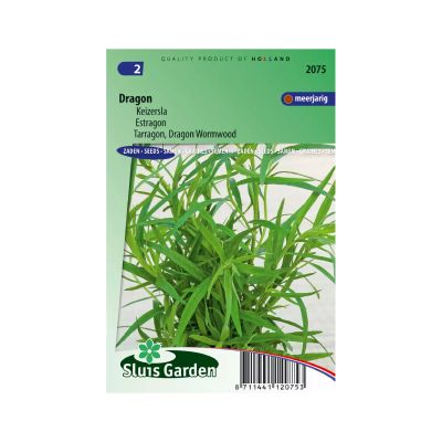 SL2075 Tarragon