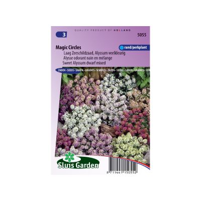 SL5055 Sweet Alyssum Magic Circles