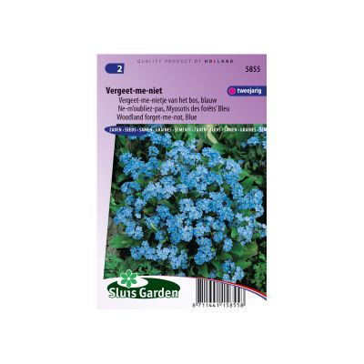 SL5855 Woodland forget-me-not blue