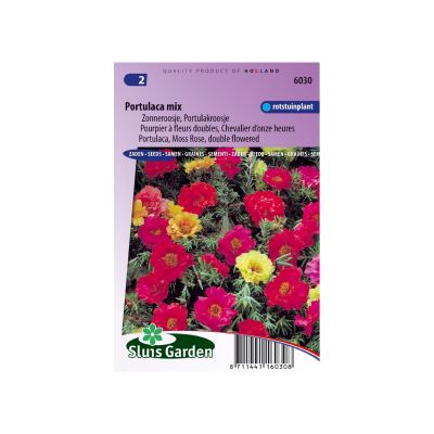 SL6030 Portulaca Moss Rose double flowered mix