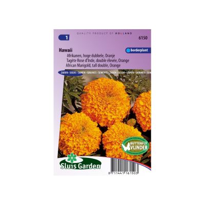 SL6150 African Marigold Hawaii tall double orange