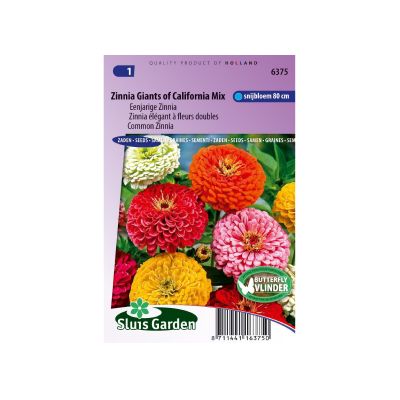 SL6375 Common Zinnia California Giants mix