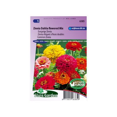 SL6385 Common Zinnia Dahlia flowered Mix