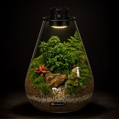TERRARIUM ARRANGEMENT S/O $139.90