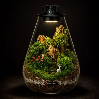 TERRARIUM ARRANGEMENT S/O $149.90