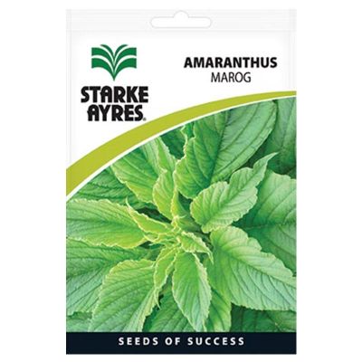 V12000 AMARANTHUS MAROG Vegetable Seeds