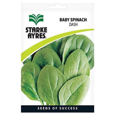 V1342 BABY SPINACH DASH Vegetable Seeds