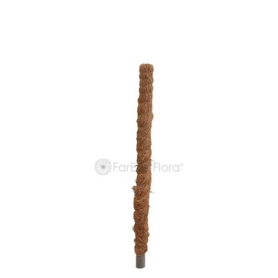 COCO POLE 2FT - TS