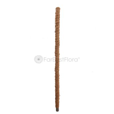 COCO POLE 4FT - TS