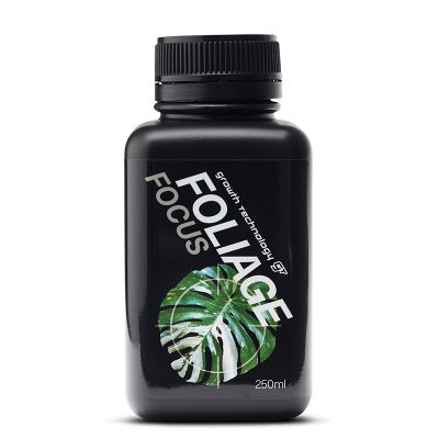 GT FOLIAGE FOCUS 250ML