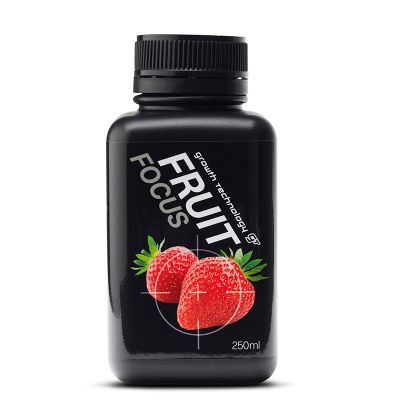 GT FRUIT FOCUS 250ML