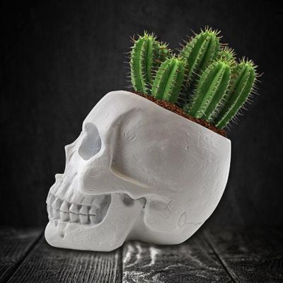 GR-PLANTER SKULL CACTUS (PPC) - NETT
