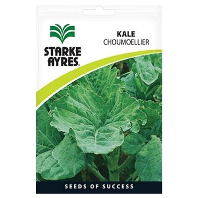 V7067 KALE CHOUMOELLIER Vegetable Seeds