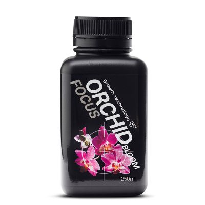 GT ORCHID FOCUS BLOOM 250ML
