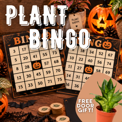 PLANT BINGO TICKET $5