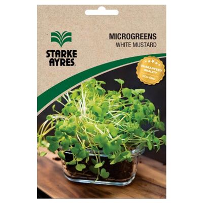 V3042 WHITE MUSTARD Micro-greens Seeds