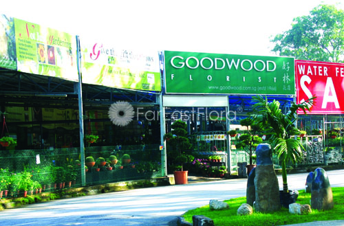 landscape-industry-association-2007