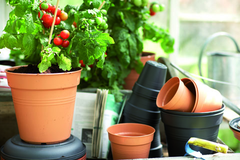 Elho Green Basics Growpot