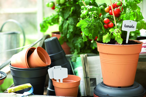 Elho Green Basics Growpot