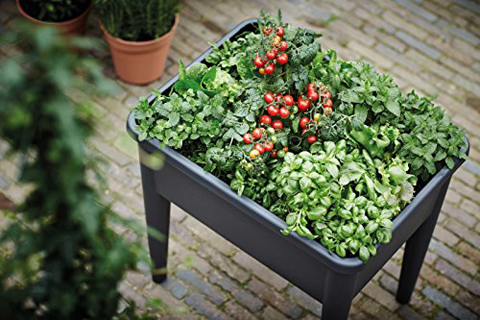 Grow Table